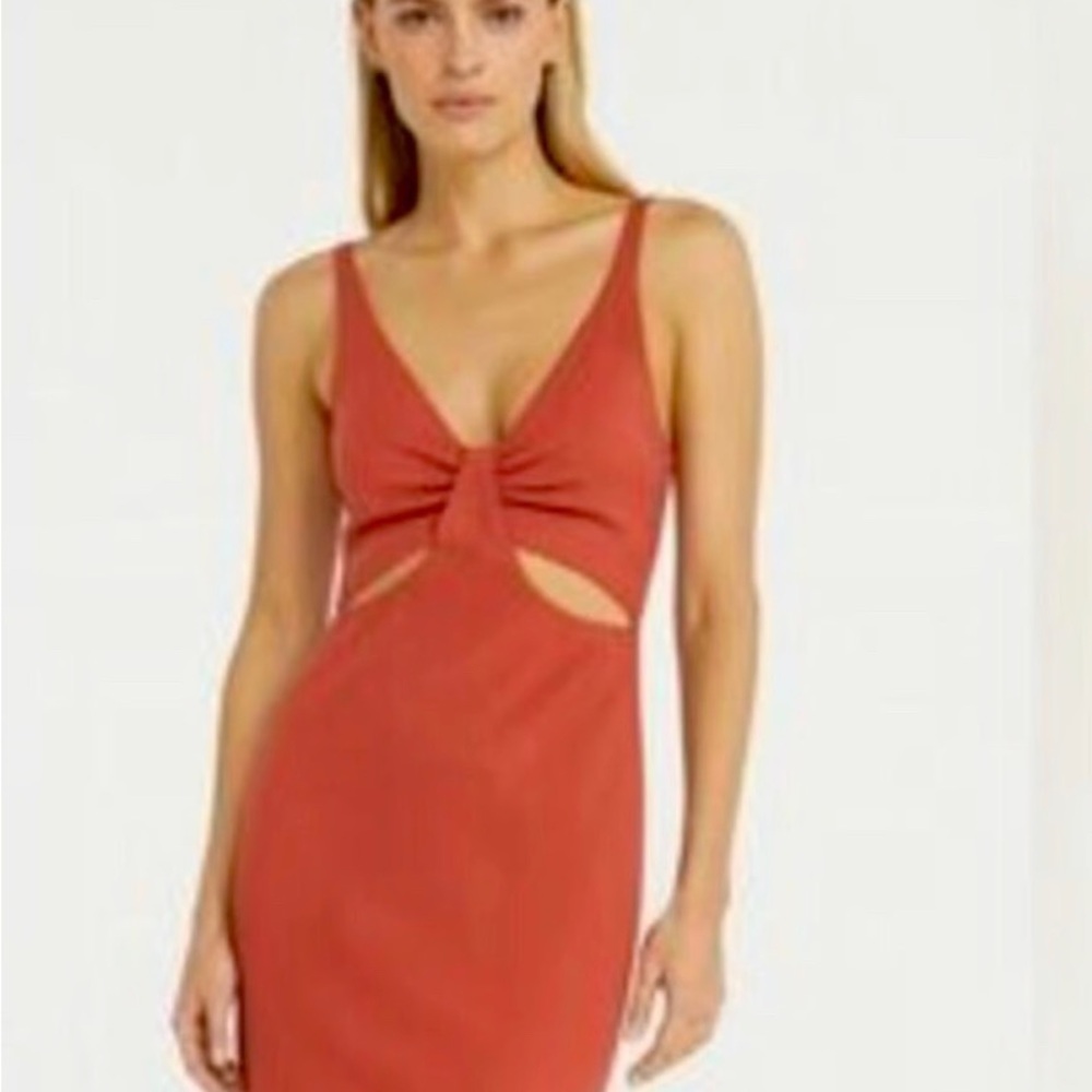 Abercrombie & Fitch Terracotta Backless Dress
